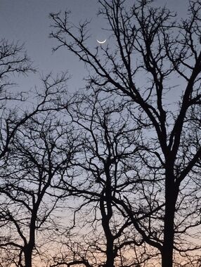 Meet your Posher, Dawn